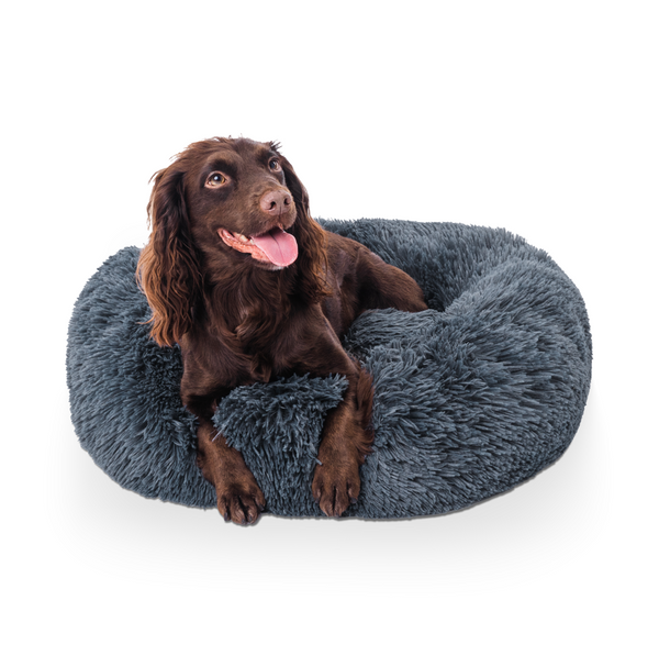 Donut Dog Bed