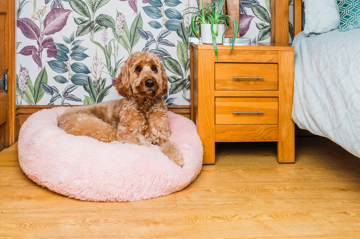 Built in the UK for happy pets