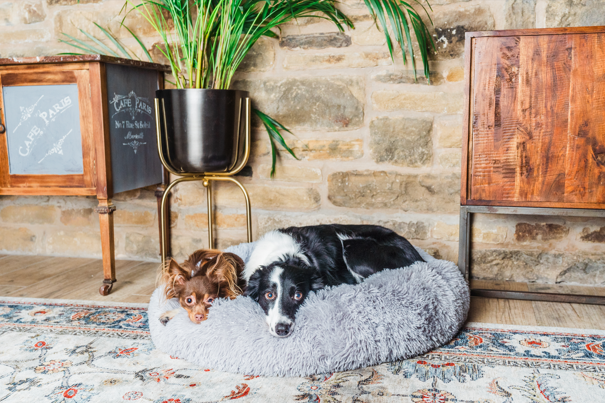 Cozy Dens, Comfy Naps